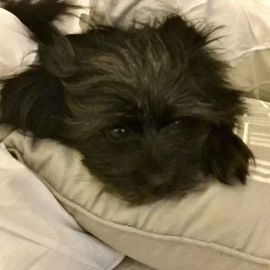 Meet your Posher, Brenda